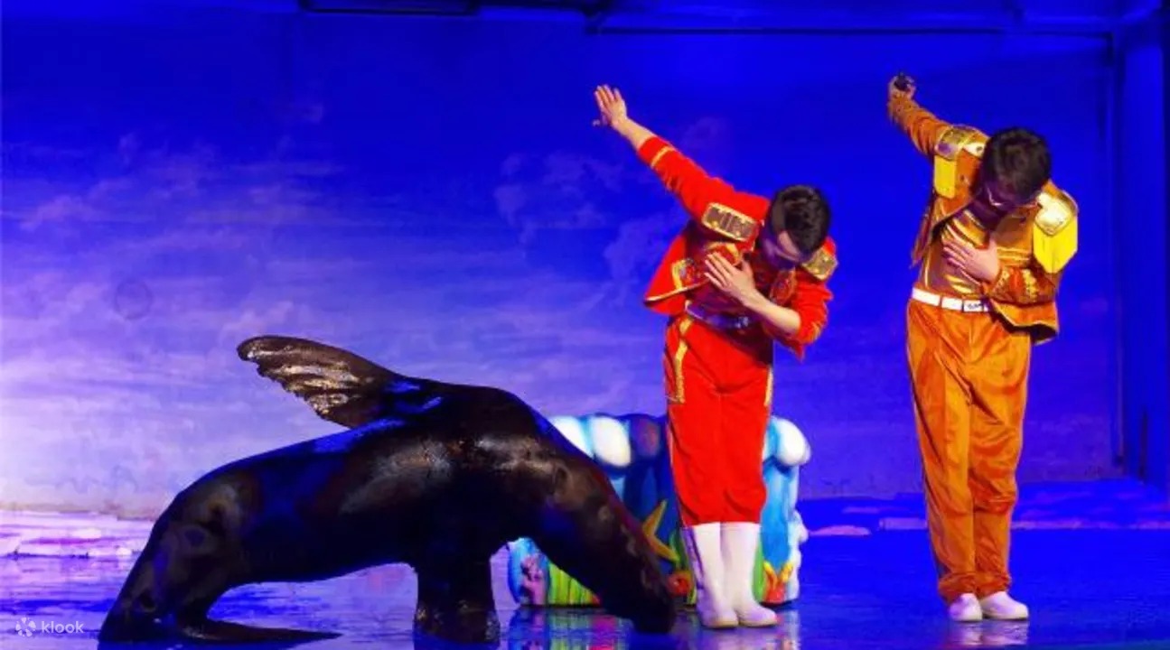 WhatsApp Image 2023-05-14 at 19.30